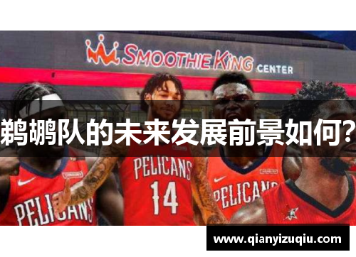 鹈鹕队的未来发展前景如何？